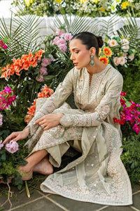 3 Piece Cotton Suit With Organza Dupatta| Ready To Wear