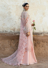 Blush Pink Embroidered Chiffon Suit |Ready to Wear