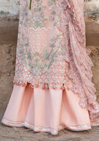 Blush Pink Embroidered Chiffon Suit |Ready to Wear