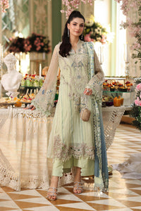 Mint Green Embroidered Chiffon Suit with Digital Printed Dupatta |RTW