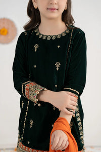03 Piece  Embroidered Chiffon Suit - Ready  To Wear
