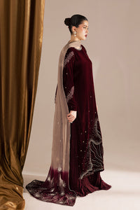 Embroidered Festive Ensemble Micro Velvet 9000 | RTW